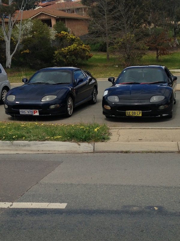 Moonlight Blue and Pyreness Black FTO.jpg