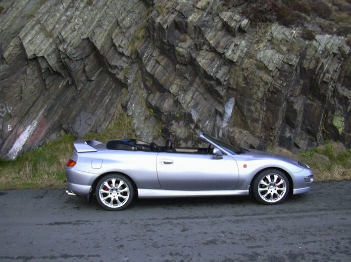 fto spider.jpg