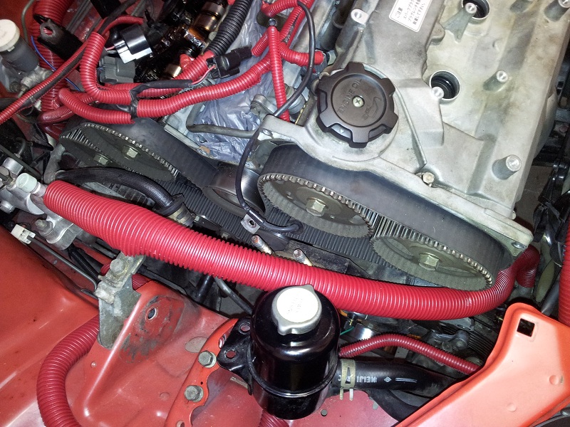 Old Timing Belt.jpg