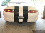 resized striped 2.jpg