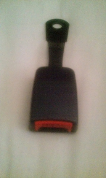 IMAG0414.jpg