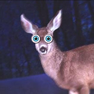 image.jpg