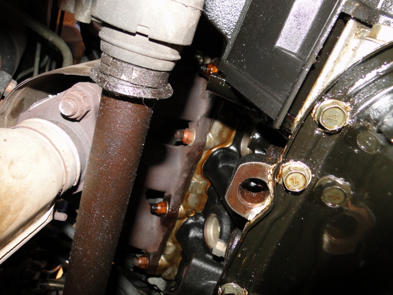 DSC02415 (800x600).jpg